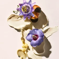 Sol de Janeiro Delicia Drench Body Butter vartalovoide 240 ml