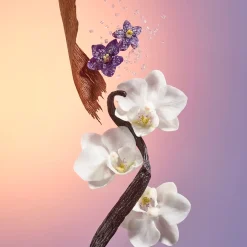 Sol de Janeiro Delicia Drench Body Butter vartalovoide 240 ml