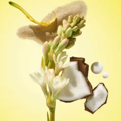 Sol de Janeiro Rio Radiance SPF 50 Body spray vartalosuihke 200 ml