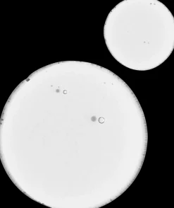 The Ordinary Natural Balancing & Clarifying Seerumi 30 ml