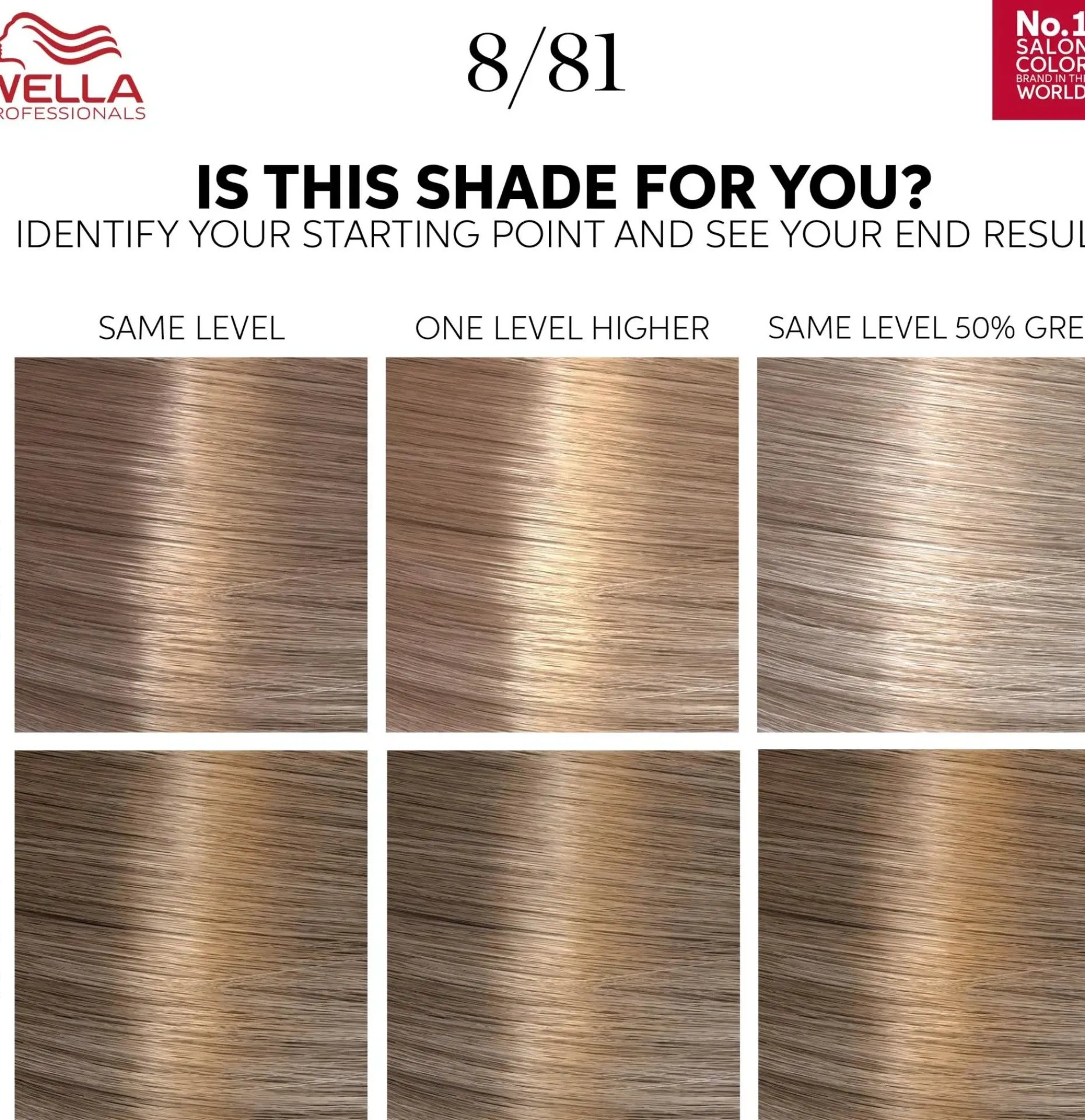 Wella Professionals Color Touch Rich Natural Pearl Blonde 8/81 kotiväri 130 ml